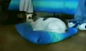 Lovelace楽しいとともに若い美しさの隣に彼の眠っている妻 女性 の ため の エロ 動画 無料
